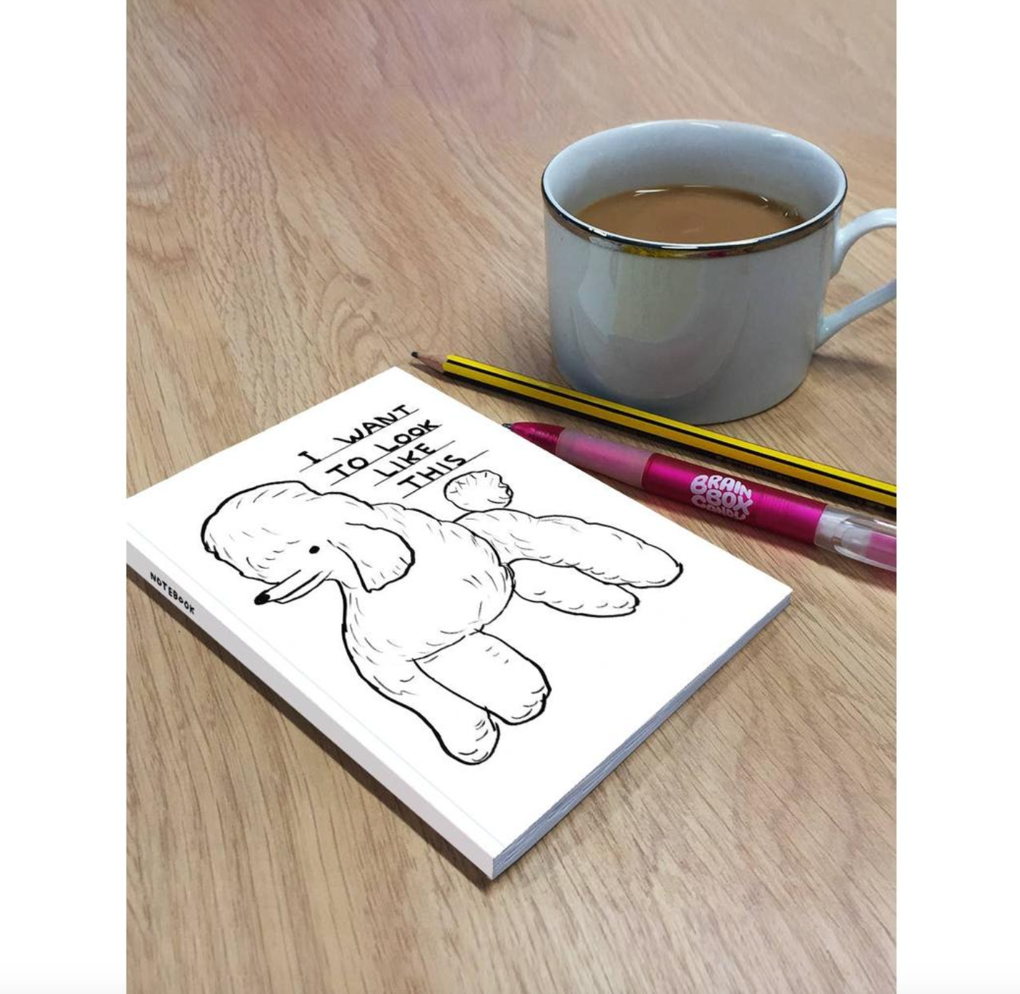David Shrigley A6 記事簿 - 我想看起來像這樣