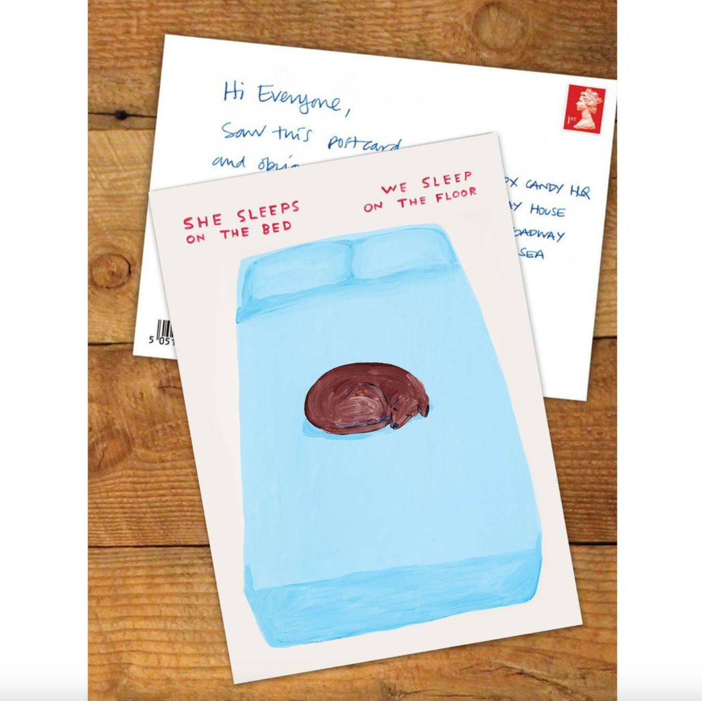 A6 Art Postcard By David Shrigley - She Sleeps On The Bed