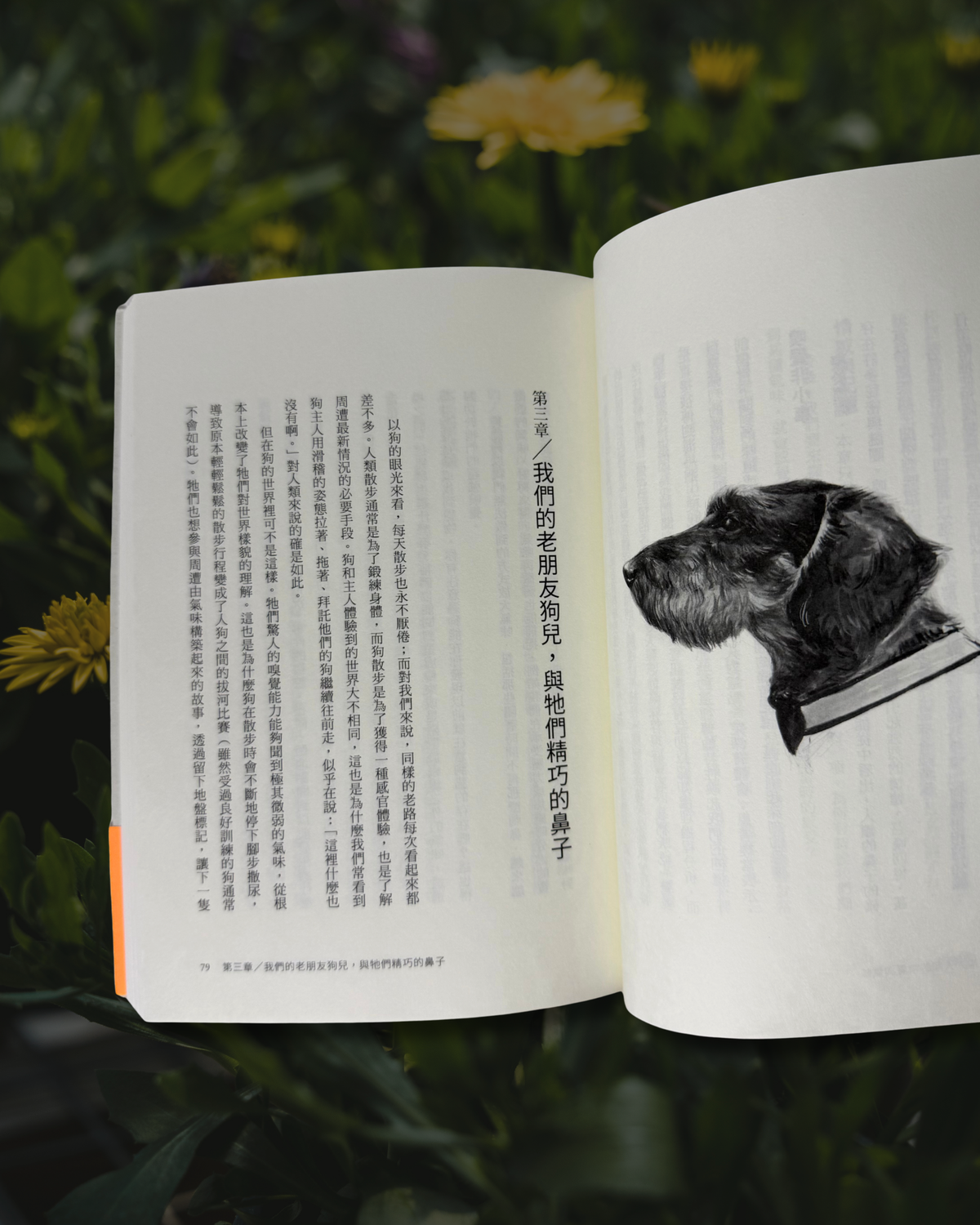[Second Hand|TC] Die Nase Vorn 你聞到了嗎？