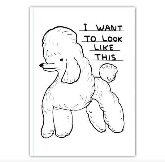 David Shrigley A6 Notebook | I Want To Look Like This