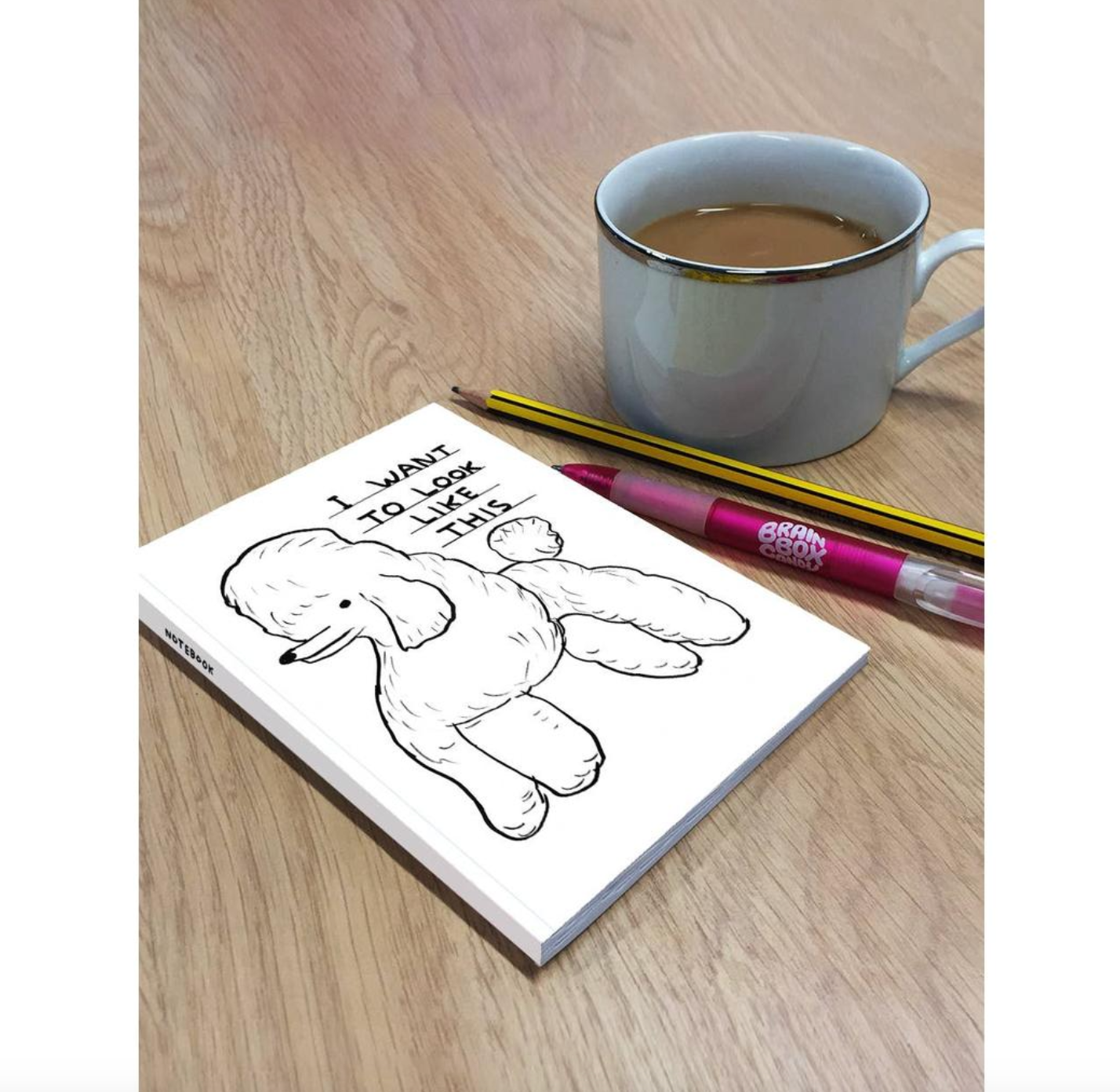 David Shrigley A6 Notebook | I Want To Look Like This