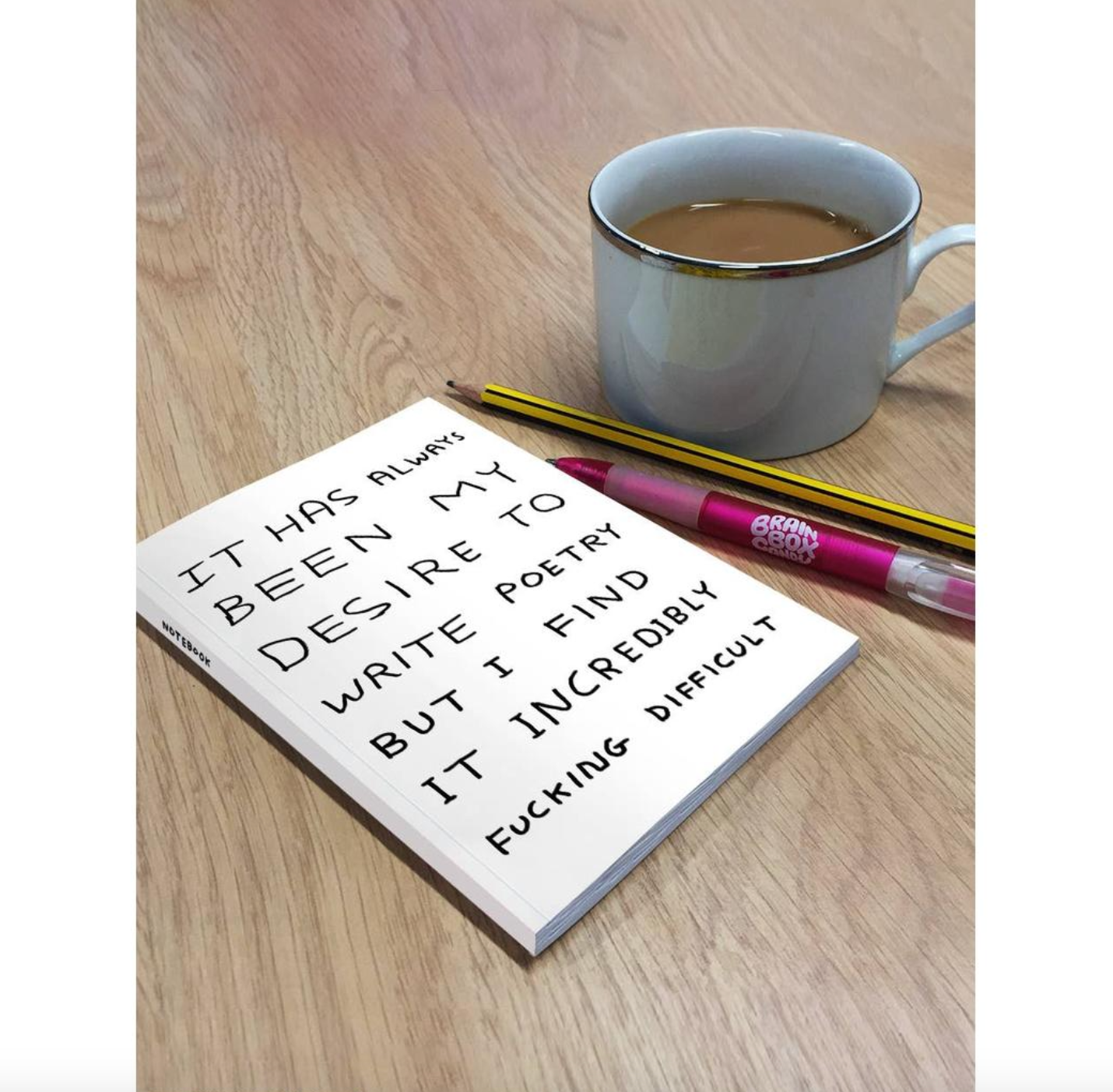 David Shrigley A6 Notebook | Write Poetry